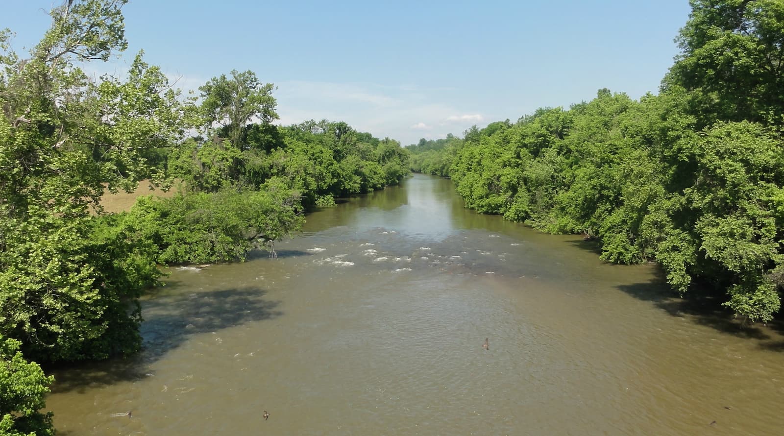 Environmental Watchdogs Launch NC Pipeline Watch: Protecting the Environment?