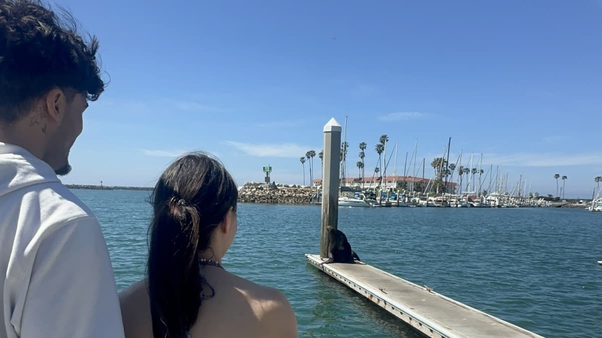 Isis Sio Recuerda el Último Momento Antes del KO y Revela su Futuro en el Boxeo